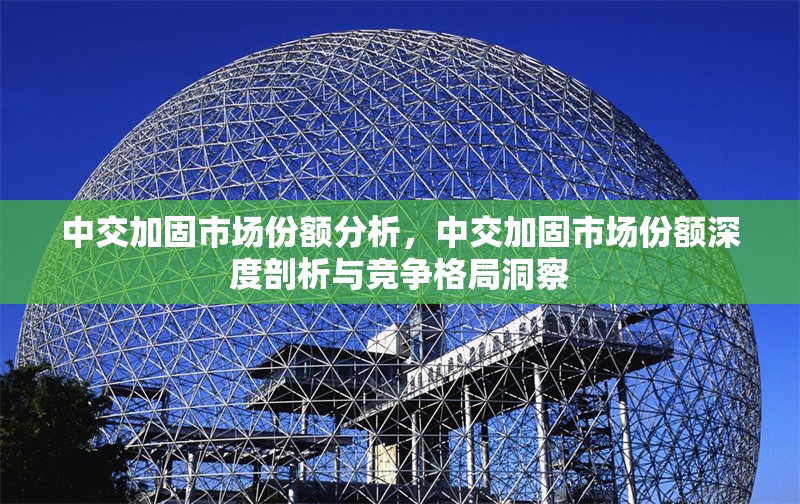 中交加固市場份額分析，中交加固市場份額深度剖析與競爭格局洞察 行業新聞 第2張