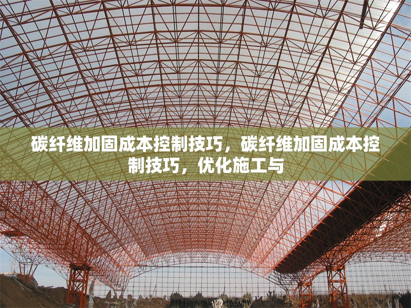 碳纖維加固成本控制技巧，碳纖維加固成本控制技巧，優化施工與 行業新聞 第1張