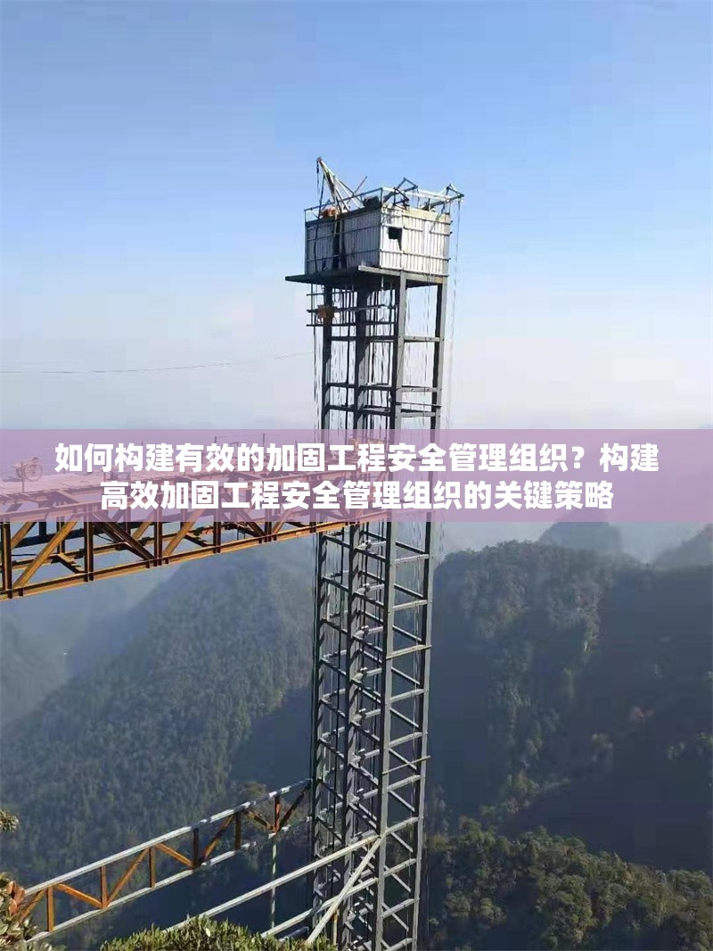 如何構建有效的加固工程安全管理組織？構建高效加固工程安全管理組織的關鍵策略