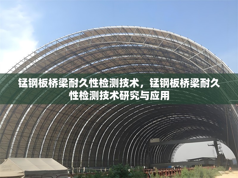 錳鋼板橋梁耐久性檢測技術，錳鋼板橋梁耐久性檢測技術研究與應用