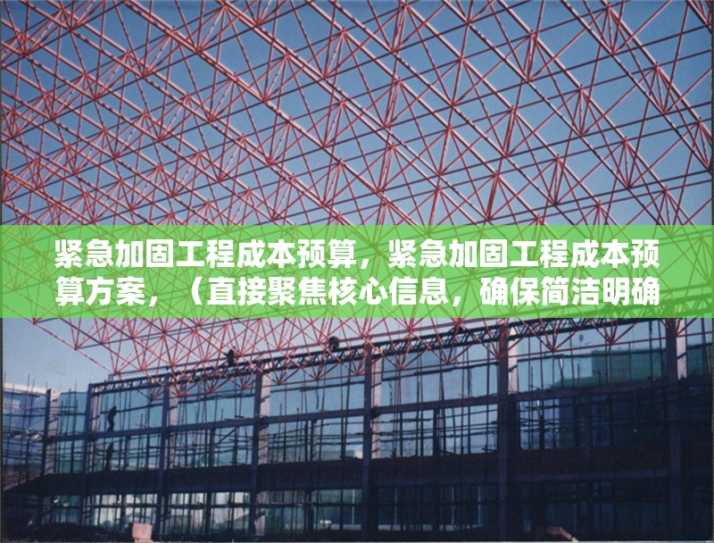 緊急加固工程成本預(yù)算，緊急加固工程成本預(yù)算方案，（直接聚焦核心信息，確保簡潔明確） 行業(yè)新聞 第1張