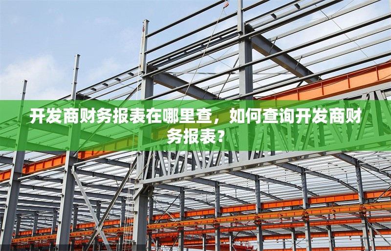 開發(fā)商財務(wù)報表在哪里查，如何查詢開發(fā)商財務(wù)報表？ 行業(yè)新聞 第1張