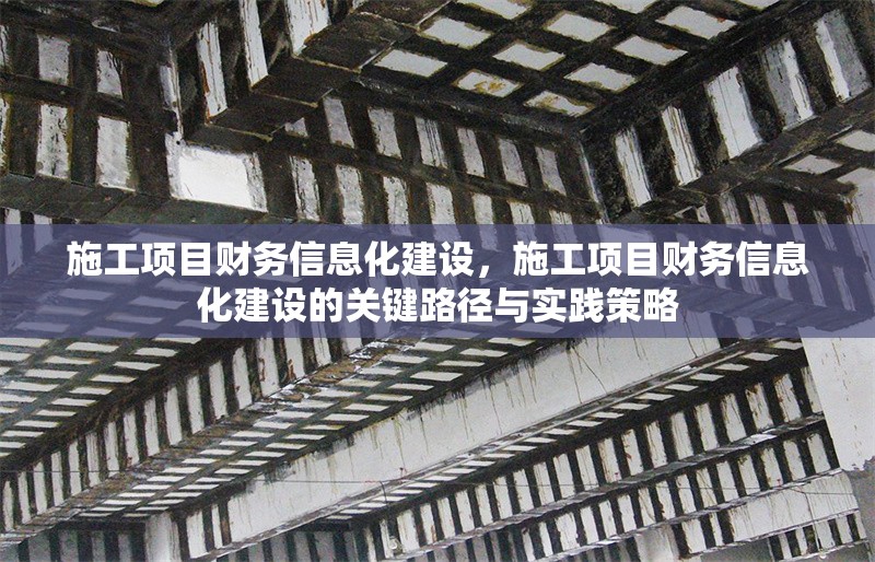 施工項目財務信息化建設，施工項目財務信息化建設的關鍵路徑與實踐策略