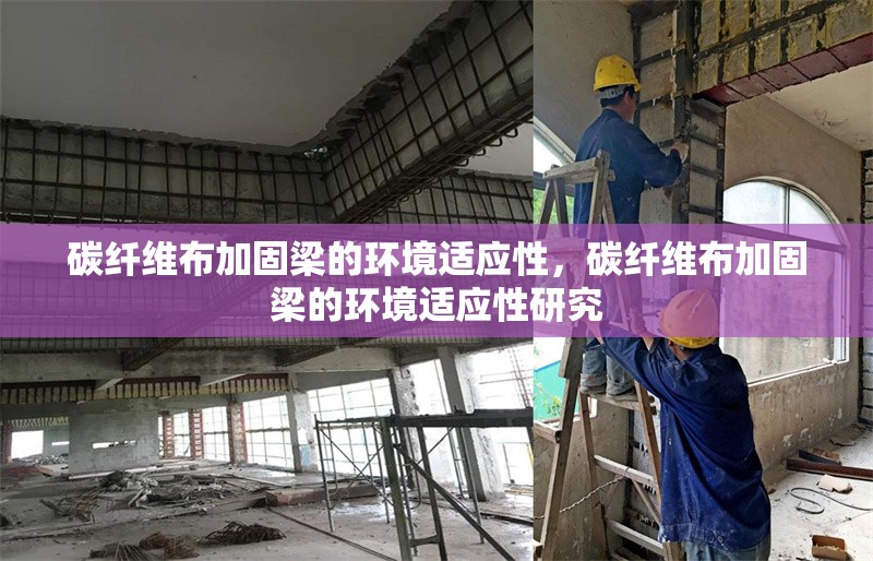 碳纖維布加固梁的環境適應性，碳纖維布加固梁的環境適應性研究，碳纖維布加固梁的環境適應性研究