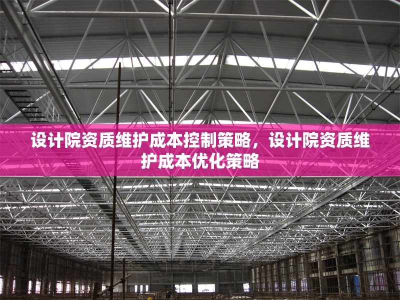 設(shè)計院資質(zhì)維護成本控制策略，設(shè)計院資質(zhì)維護成本優(yōu)化策略，設(shè)計院資質(zhì)維護成本控制與優(yōu)化策略