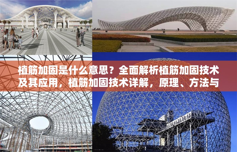 植筋加固是什么意思？全面解析植筋加固技術及其應用，植筋加固技術詳解，原理、方法與應用場景全解析