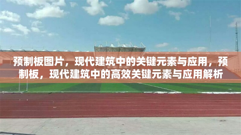 預制板圖片，現代建筑中的關鍵元素與應用，預制板，現代建筑中的高效關鍵元素與應用解析，（注，若需更簡潔，可去掉解析二字，或根據具體內容側重調整關鍵詞，如強調設計施工技術等。）