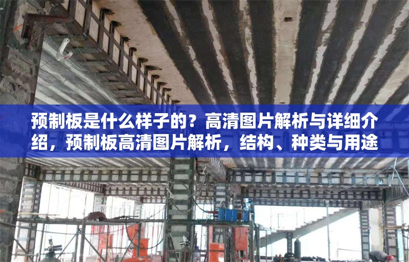 預(yù)制板是什么樣子的？高清圖片解析與詳細(xì)介紹，預(yù)制板高清圖片解析，結(jié)構(gòu)、種類與用途全覽 行業(yè)新聞