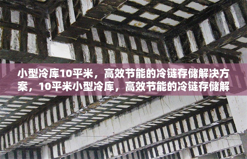 小型冷庫10平米，高效節能的冷鏈存儲解決方案，10平米小型冷庫，高效節能的冷鏈存儲解決方案