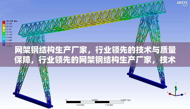 網架鋼結構生產廠家，行業領先的技術與質量保障，行業領先的網架鋼結構生產廠家，技術精湛質量可靠