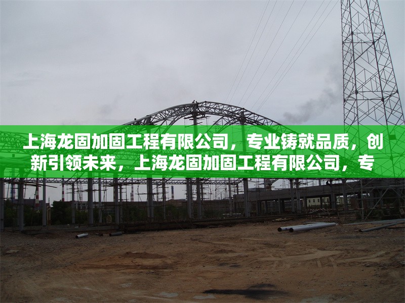 上海龍固加固工程有限公司，專業(yè)鑄就品質(zhì)，創(chuàng)新引領(lǐng)未來(lái)，上海龍固加固工程有限公司，專業(yè)鑄就品質(zhì)，創(chuàng)新引領(lǐng)未來(lái)