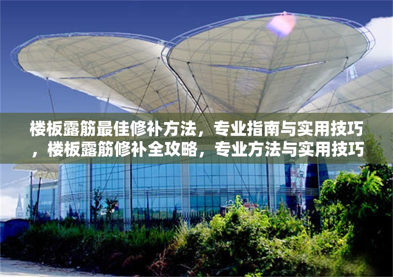 樓板露筋最佳修補方法，專業指南與實用技巧，樓板露筋修補全攻略，專業方法與實用技巧詳解 行業新聞