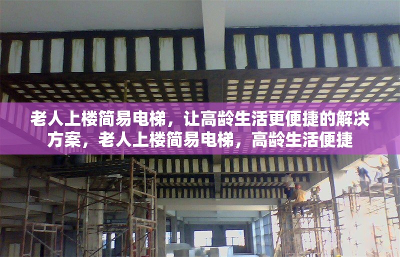 老人上樓簡易電梯，讓高齡生活更便捷的解決方案，老人上樓簡易電梯，高齡生活便捷 行業新聞