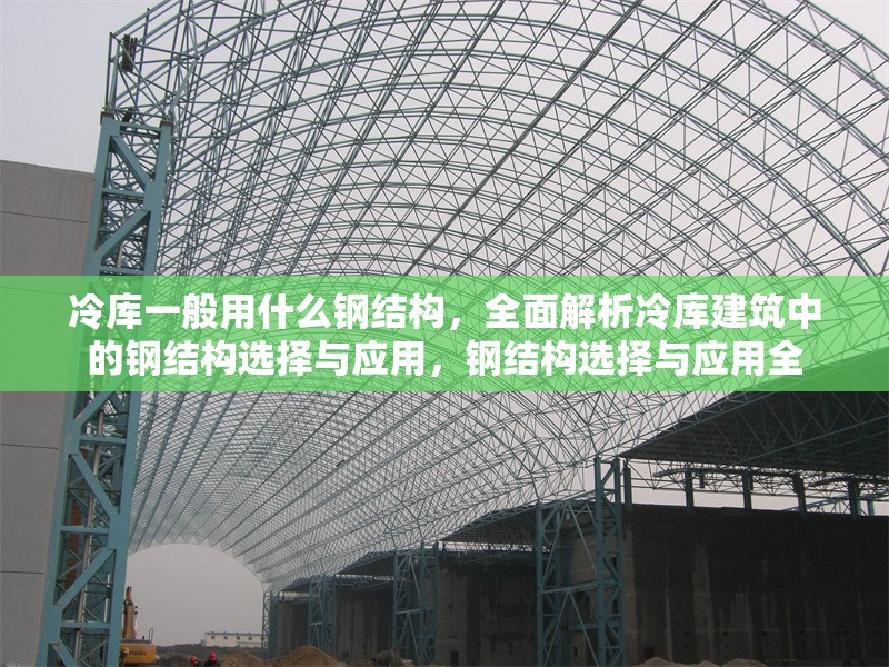冷庫一般用什么鋼結構，全面解析冷庫建筑中的鋼結構選擇與應用，鋼結構選擇與應用全 行業新聞