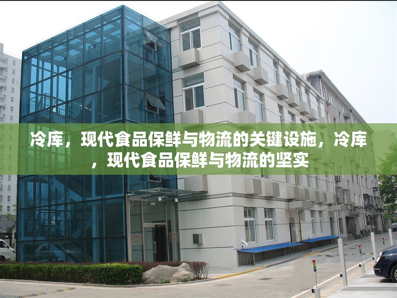 冷庫，現代食品保鮮與物流的關鍵設施，冷庫，現代食品保鮮與物流的堅實