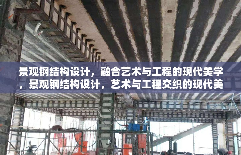 景觀鋼結構設計，融合藝術與工程的現代美學，景觀鋼結構設計，藝術與工程交織的現代美學華章