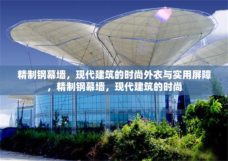 精制鋼幕墻，現代建筑的時尚外衣與實用屏障，精制鋼幕墻，現代建筑的時尚