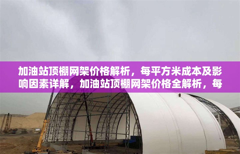 加油站頂棚網架價格解析，每平方米成本及影響因素詳解，加油站頂棚網架價格全解析，每平成本與影響因素 行業新聞