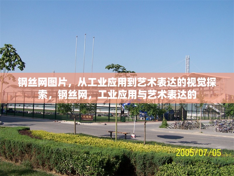 鋼絲網(wǎng)圖片，從工業(yè)應(yīng)用到藝術(shù)表達(dá)的視覺(jué)探索，鋼絲網(wǎng)，工業(yè)應(yīng)用與藝術(shù)表達(dá)的