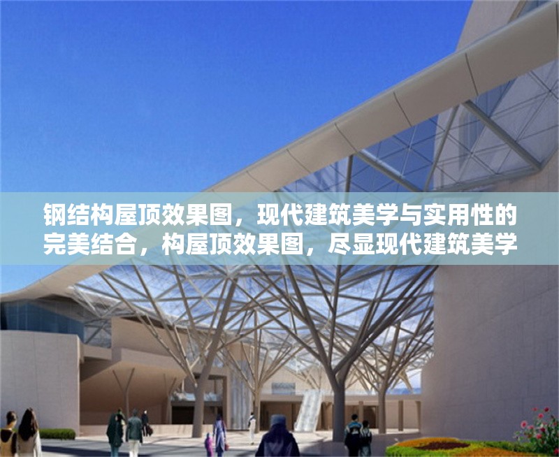 鋼結構屋頂效果圖，現代建筑美學與實用性的完美結合，構屋頂效果圖，盡顯現代建筑美學與實用 行業新聞