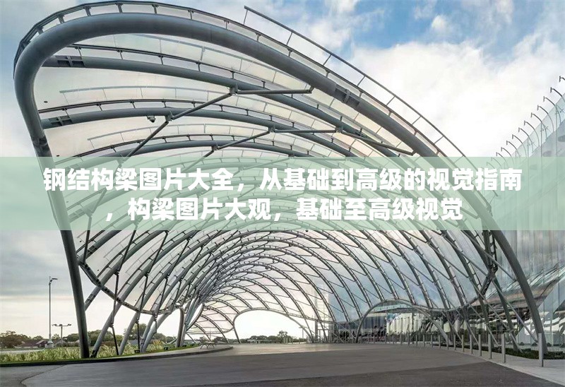 鋼結構梁圖片大全，從基礎到高級的視覺指南，構梁圖片大觀，基礎至高級視覺