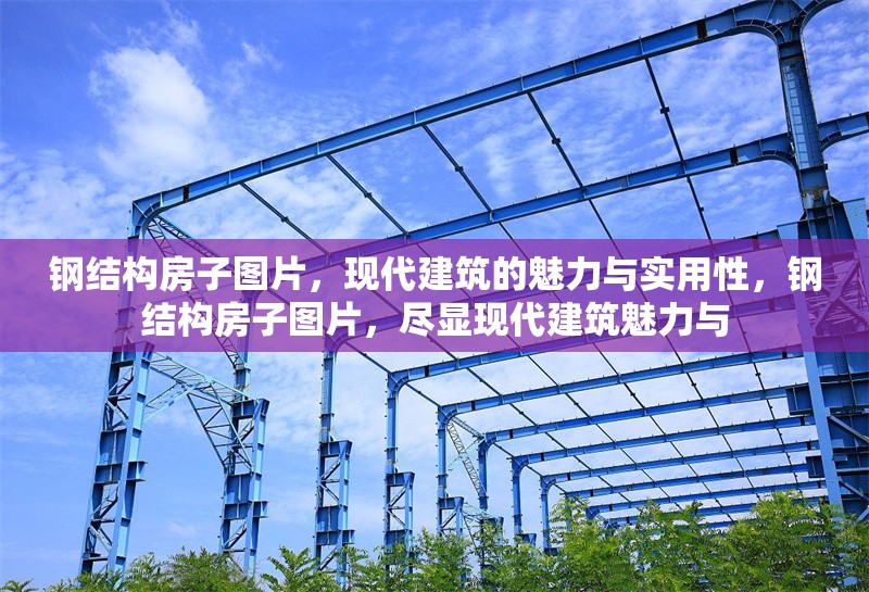 鋼結構房子圖片，現代建筑的魅力與實用性，鋼結構房子圖片，盡顯現代建筑魅力與