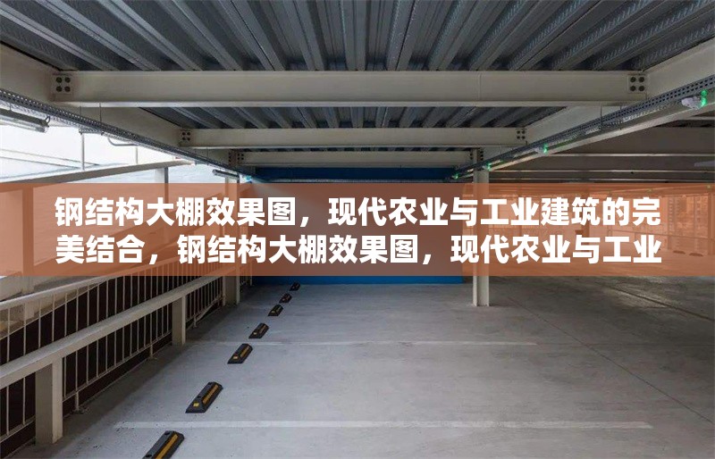 鋼結構大棚效果圖，現代農業與工業建筑的完美結合，鋼結構大棚效果圖，現代農業與工業建筑的