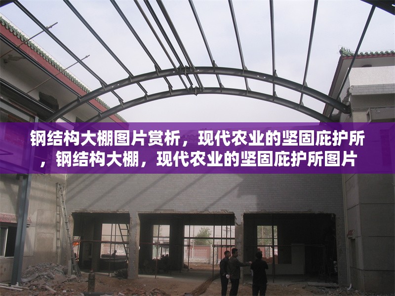 鋼結構大棚圖片賞析，現代農業的堅固庇護所，鋼結構大棚，現代農業的堅固庇護所圖片