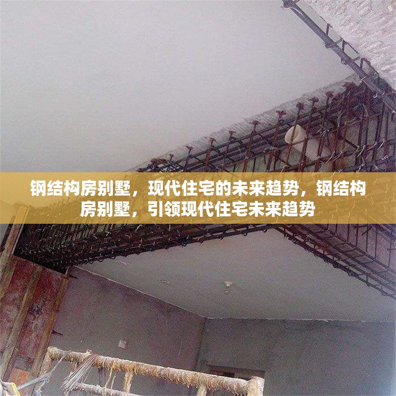 鋼結構房別墅，現代住宅的未來趨勢，鋼結構房別墅，引領現代住宅未來趨勢