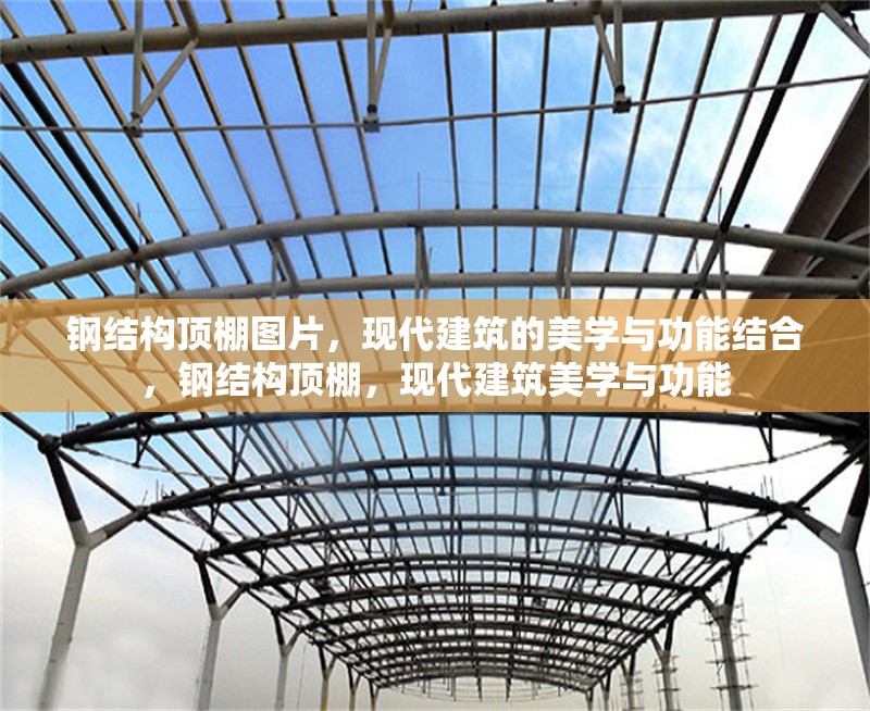 鋼結構頂棚圖片，現代建筑的美學與功能結合，鋼結構頂棚，現代建筑美學與功能