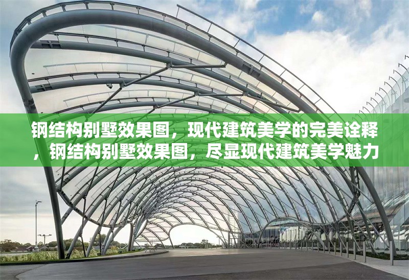 鋼結構別墅效果圖，現代建筑美學的完美詮釋，鋼結構別墅效果圖，盡顯現代建筑美學魅力