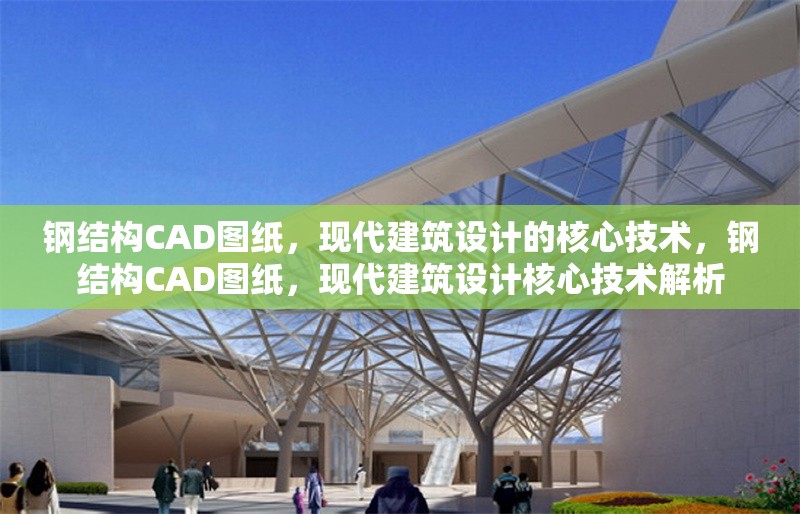 鋼結(jié)構(gòu)CAD圖紙，現(xiàn)代建筑設(shè)計(jì)的核心技術(shù)，鋼結(jié)構(gòu)CAD圖紙，現(xiàn)代建筑設(shè)計(jì)核心技術(shù)解析 行業(yè)新聞