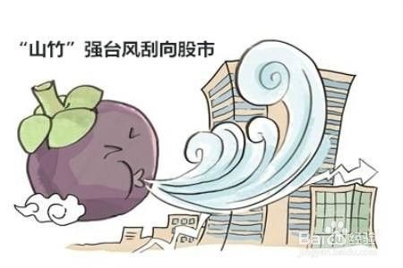 臺風對房屋結構的影響，臺風肆虐下房屋結構的考驗，