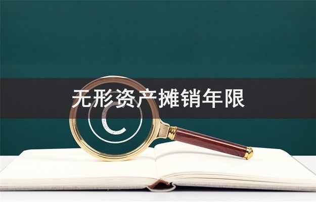 稅法下攤銷年限的案例分析，稅法攤銷年限案例解析，明晰規則