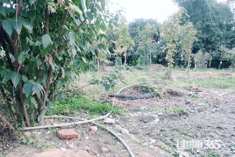 土地增值稅稅率如何確定,土地增值稅稅率確定方法及影響因素詳解 行業(yè)新聞 第4張 土地增值稅稅率如何確定,土地增值稅稅率確定方法及影響因素詳解 行業(yè)新聞 第4張