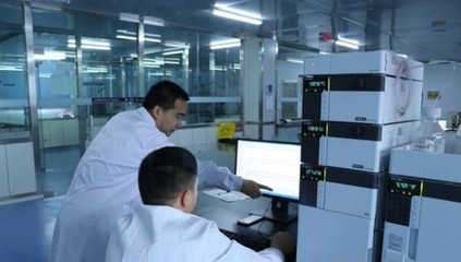 現場檢測法與實驗室測試法比較，現場檢測法與實驗室測試法的優劣對比及適用場景分析 行業新聞 第5張