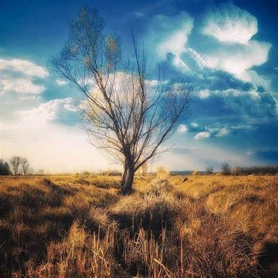 項目經理責任制成功經驗，項目經理責任制，成功經驗與實踐之道 行業新聞 第2張