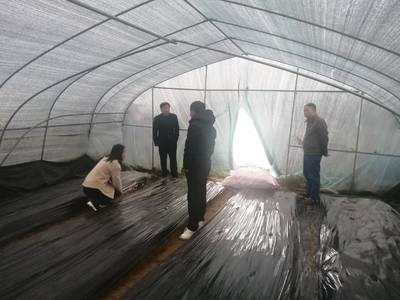應急工程中加固技術的效率,應急工程加固技術效率 行業新聞 第3張 應急工程中加固技術的效率,應急工程加固技術效率 行業新聞 第3張
