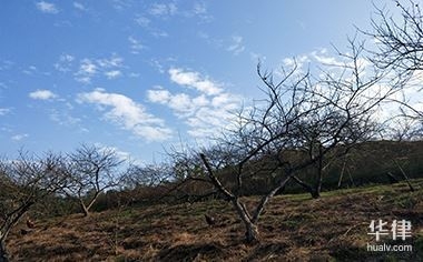 土地使用權(quán)攤銷會計處理案例，土地使用權(quán)攤銷會計處理，[具體案例