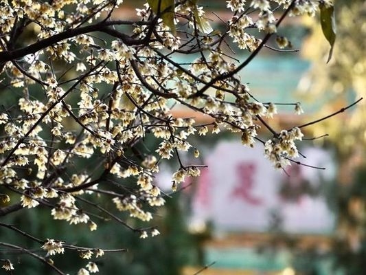 老舊廠房改造的環保措施,老舊廠房改造中環保舉措的多元探索 行業新聞 第2張 老舊廠房改造的環保措施,老舊廠房改造中環保舉措的多元探索 行業新聞 第2張