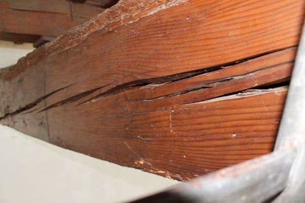 建筑加固后的病蟲害防治，建筑加固后病蟲害防治策略與實踐 行業新聞 第4張