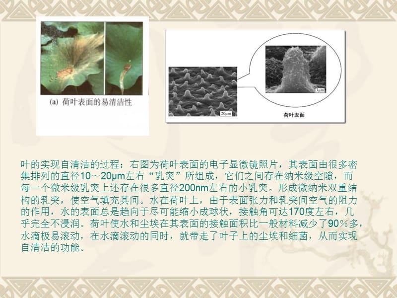 納米材料加固技術(shù)原理，納米材料加固技術(shù)，微觀原理與作用