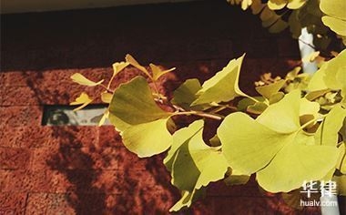設計服務合同條款的關鍵要素，設計服務合同條款核心 行業(yè)新聞 第4張