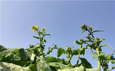 老舊房屋改造補貼申請條件,老舊房屋改造補貼申請,條件全解析 行業新聞 第2張 老舊房屋改造補貼申請條件,老舊房屋改造補貼申請,條件全解析 行業新聞 第2張