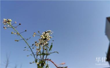 老舊房屋改造補貼申請條件,老舊房屋改造補貼申請,條件全解析 行業新聞 第3張 老舊房屋改造補貼申請條件,老舊房屋改造補貼申請,條件全解析 行業新聞 第3張