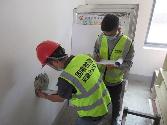 建筑物加固后位移監測技術,建筑物加固后位移監測技術,保障建筑安全的精準之眼 行業新聞 第5張 建筑物加固后位移監測技術,建筑物加固后位移監測技術,保障建筑安全的精準之眼 行業新聞 第5張