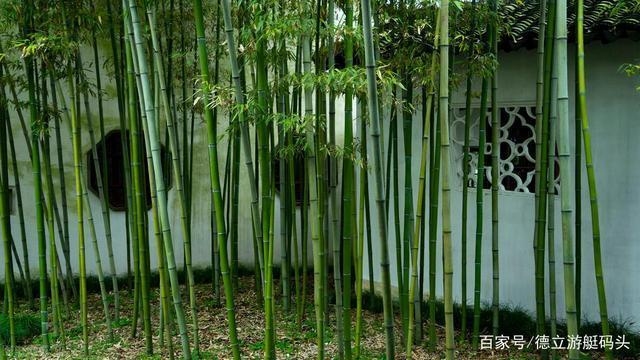 建筑模板材料環(huán)保性能比較，建筑模板材料環(huán)保性能對(duì)比分析 行業(yè)新聞 第4張