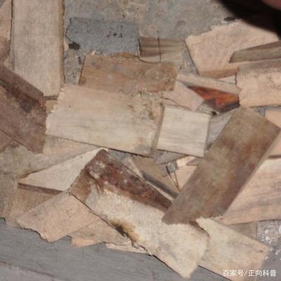 建筑加固材料成本控制技巧,如下,,建筑加固材料成本控制的7個實用技巧 行業新聞 第3張 建筑加固材料成本控制技巧,如下,,建筑加固材料成本控制的7個實用技巧 行業新聞 第3張