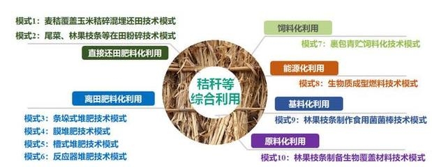農業廢棄物資源化利用,農業廢棄物資源化利用的現狀與未來發展路徑 行業新聞 第2張 農業廢棄物資源化利用,農業廢棄物資源化利用的現狀與未來發展路徑 行業新聞 第2張