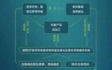農業廢棄物資源化利用,農業廢棄物資源化利用的現狀與未來發展路徑 行業新聞 第5張 農業廢棄物資源化利用,農業廢棄物資源化利用的現狀與未來發展路徑 行業新聞 第5張